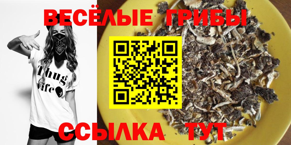 Псилоцибиновые грибы мицелий Менделеевск